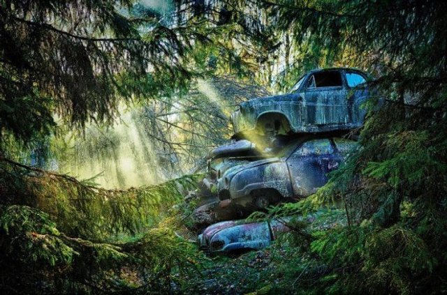 У мережі показали містичні кладовища унікальних автомобілів - 348954 У мережі показали містичні кладовища унікальних автомобілів - фото 348954