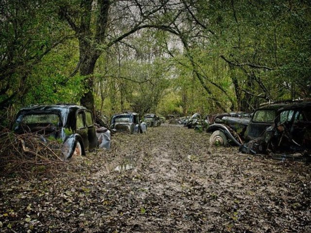 У мережі показали містичні кладовища унікальних автомобілів - 348957 У мережі показали містичні кладовища унікальних автомобілів - фото 348957