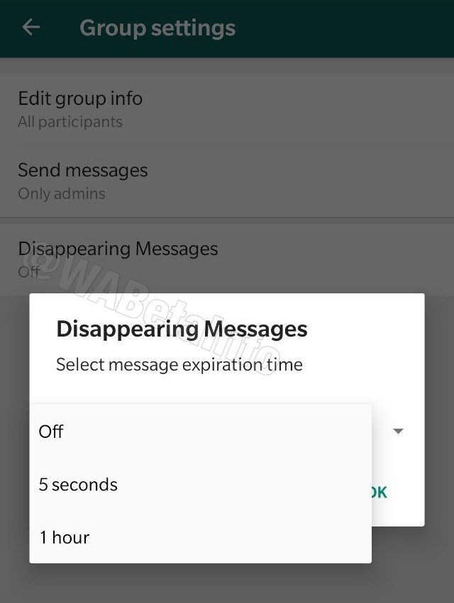 У WhatsApp з'явиться функція автоматичного видалення повідомлень - 358872 У WhatsApp з'явиться функція автоматичного видалення повідомлень - фото 358872