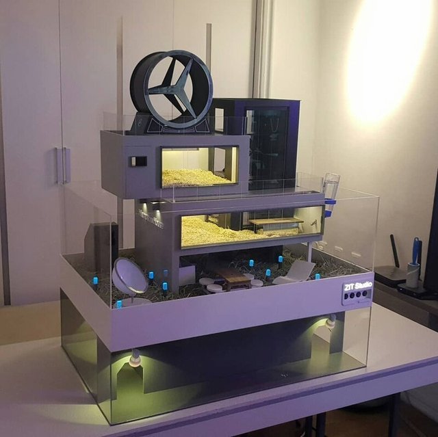 Корейці створюють елітні домівки для хом'яків, яким можна позаздрити: фото - фото 360518