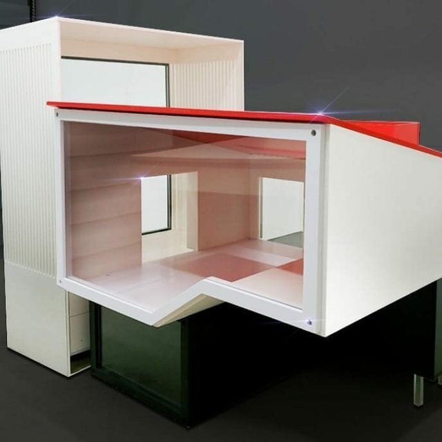 Корейці створюють елітні домівки для хом'яків, яким можна позаздрити: фото - фото 360521