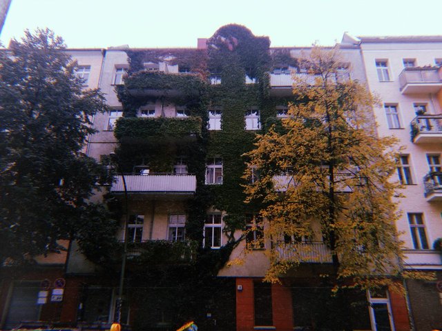 У Берлін їдуть за емоціями: що дивитися у столиці Німеччини і як не збанкрутувати у метро - 365603 У Берлін їдуть за емоціями: що дивитися у столиці Німеччини і як не збанкрутувати у метро - фото 365603