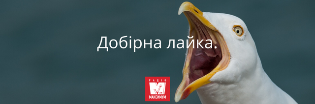10 українських фраз, які замінять поширені кальки у вашому мовленні - фото 388251
