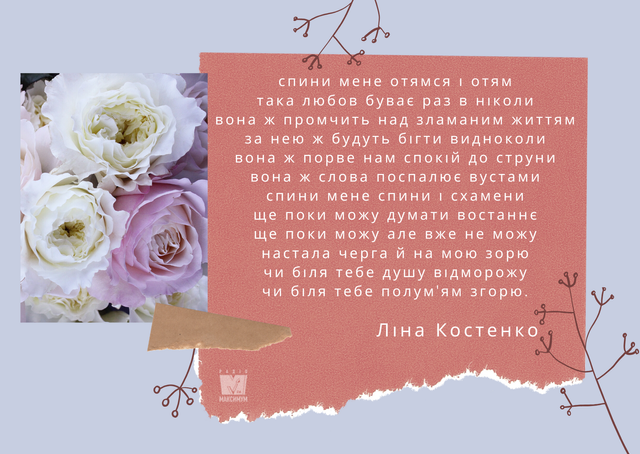 10 наших улюблених віршів геніальної Ліни Костенко - фото 393011
