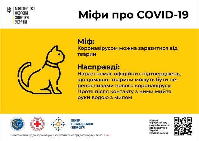 Експерти МОЗ пояснили, чи можна заразитися коронавірусом через тварин - 393444 Експерти МОЗ пояснили, чи можна заразитися коронавірусом через тварин - фото 393444