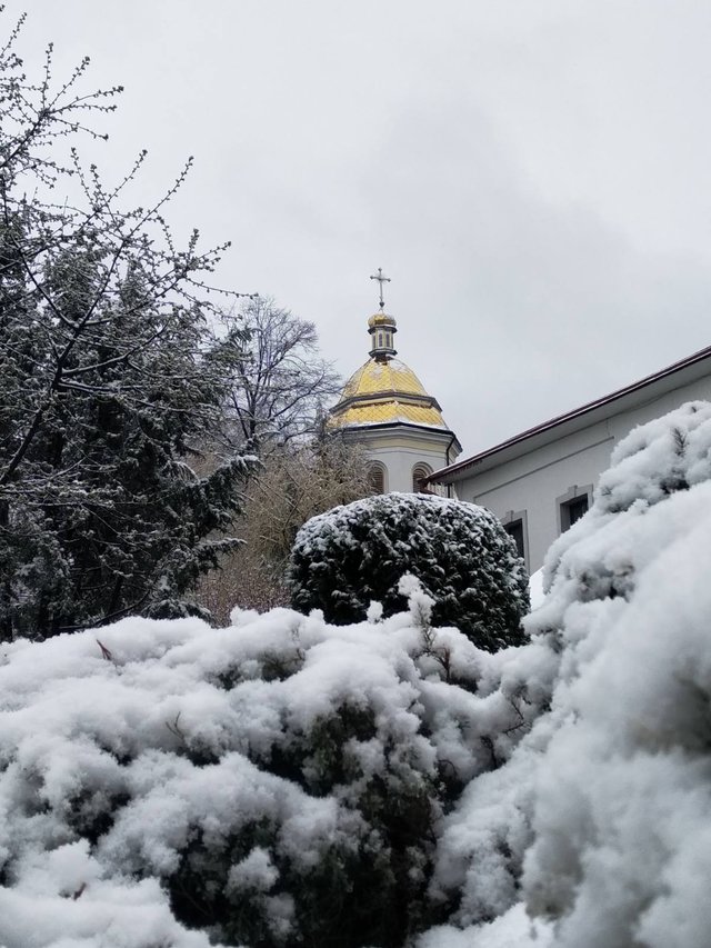 В Україні випав сніг посеред весни: добірка фото із засніжених Карпат - фото 397927