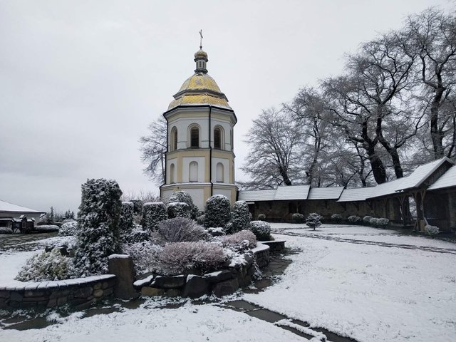 В Україні випав сніг посеред весни: добірка фото із засніжених Карпат - фото 397928