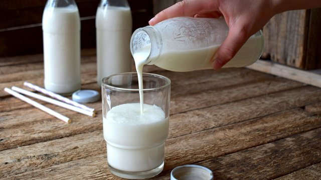 Кисломолочні продукти особливо корисні - 398542 Кисломолочні продукти особливо корисні - фото 398542