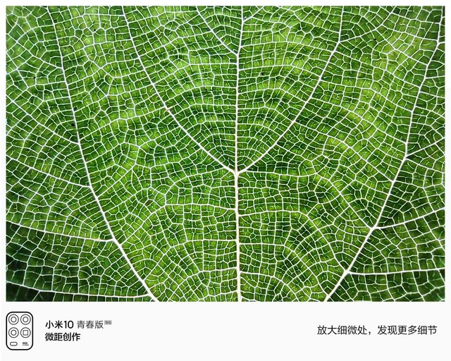 Xiaomi Mi10 Youth Edition отримає унікальні режими зйомки - фото 400183