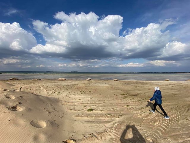 Озеро Світязь критично обміліло і стало схожим на пустелю: фото - фото 400578