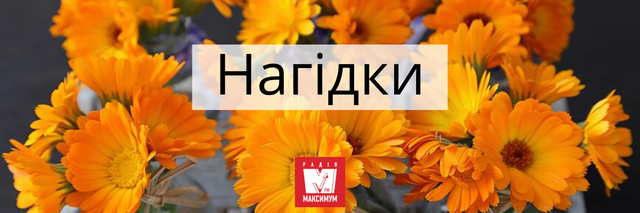Говори красиво: 10 українських назв квітів, які милують око - 400898 Говори красиво: 10 українських назв квітів, які милують око - фото 400898