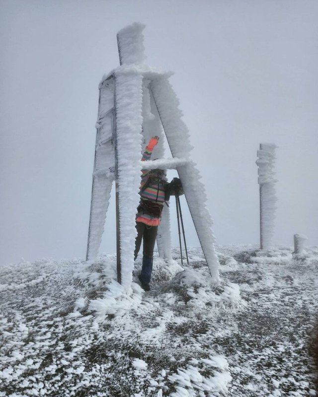 Зимова казка: мережу захопили фото засніжених Карпат - фото 440166