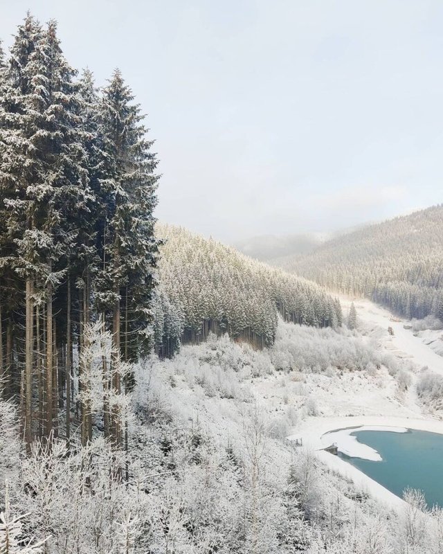 Зимова казка: мережу захопили фото засніжених Карпат - фото 440167