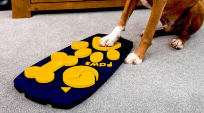 У Великобританії створили ТБ-пульт для собак