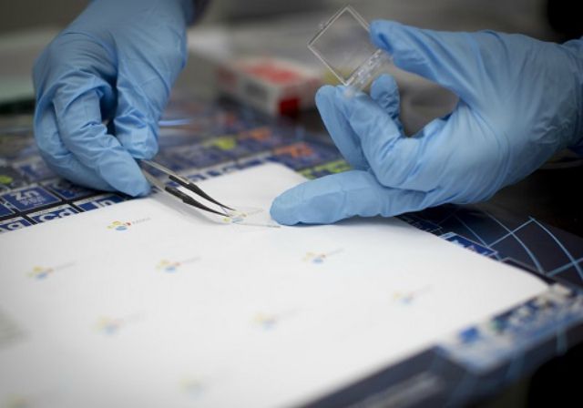 Науковці розробили бюджетні прозорі мікросхеми