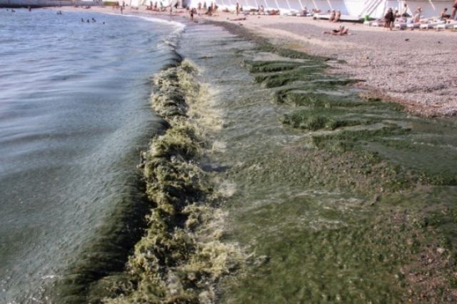 Буря пройшлася Одесою: є жертви - фото 98214