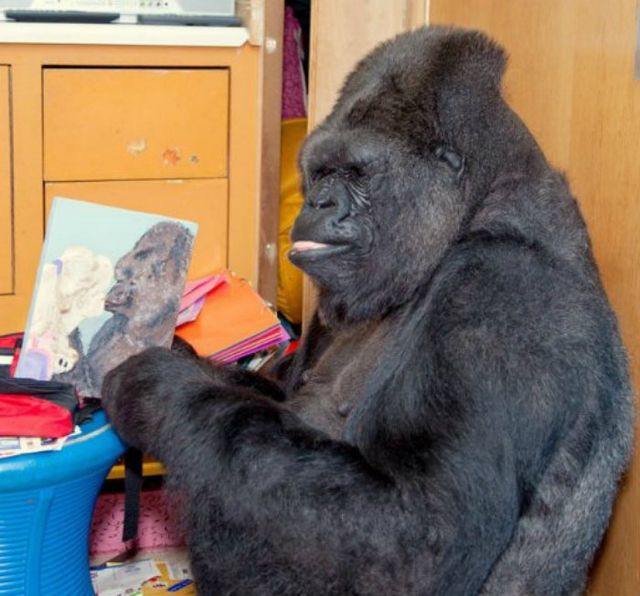 Іронія дня: Американці зловили чорного Путіна - фото 100910