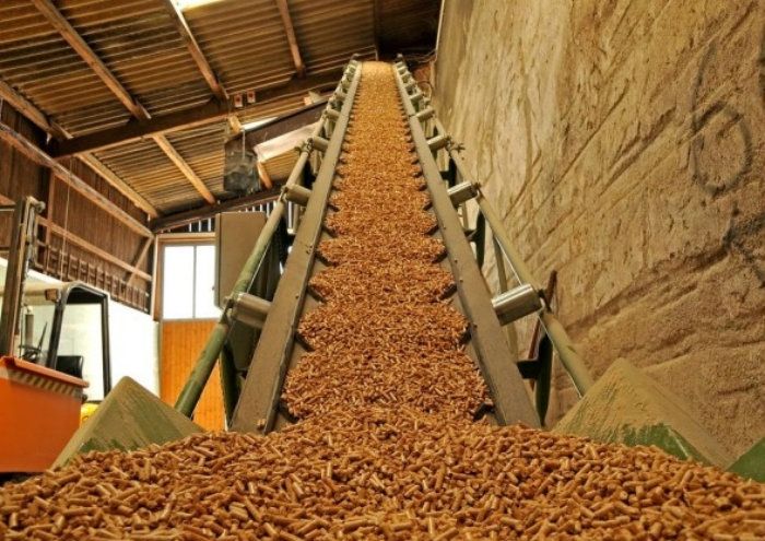 Турецькі інвестори закупили обладнання для пелетного заводу на Львівщині