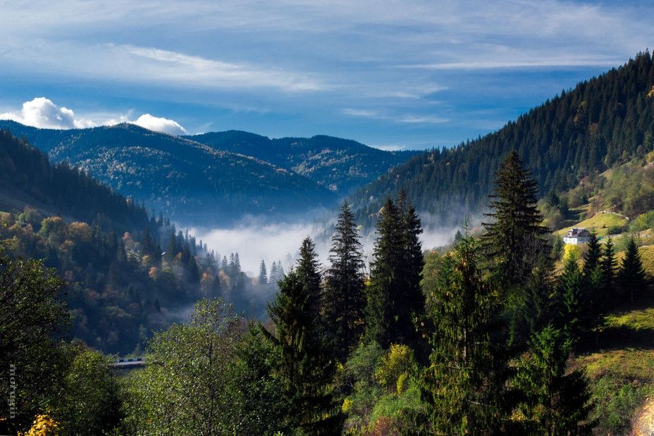 ТОП-8 ідей для відпочинку в Карпатах