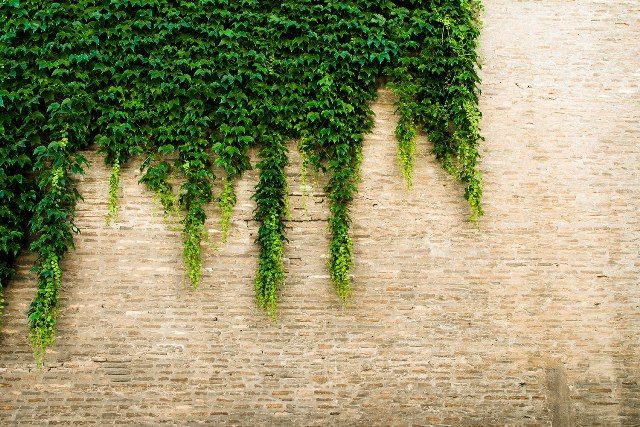 Дослідники розробляють «розумну» цеглу