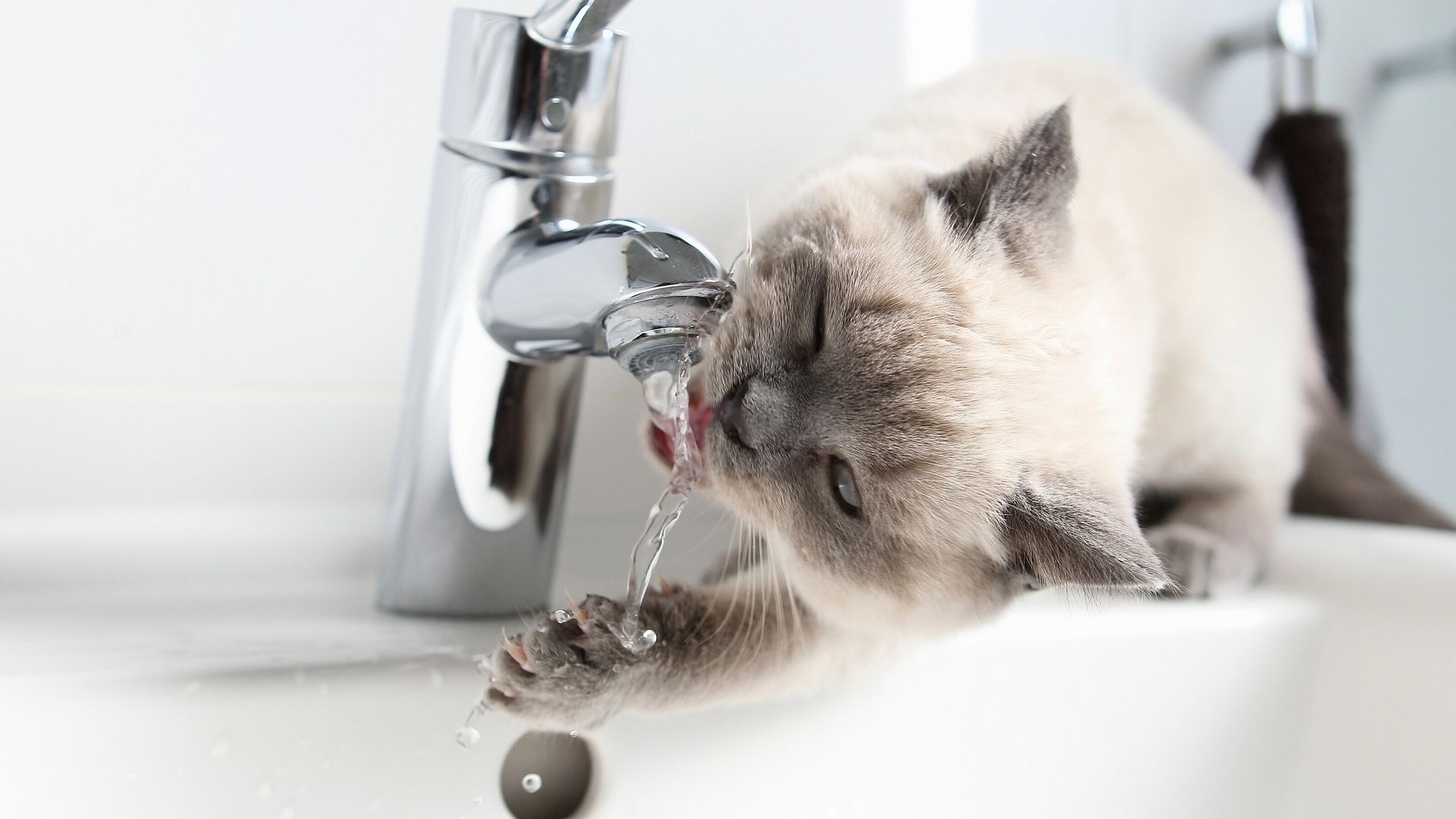 5 простих способів зекономити на оплаті води