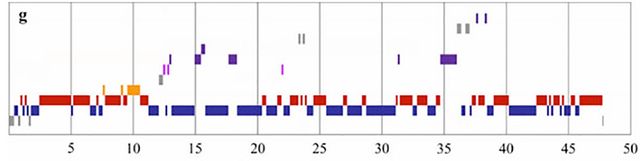Як побороти лінь: 4 дієві способи - фото 104546
