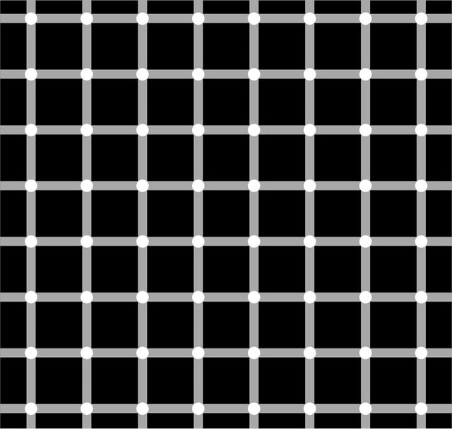 Мережу підкорила оптична ілюзія з 12 точками, які неможливо побачити одночасно - фото 102974