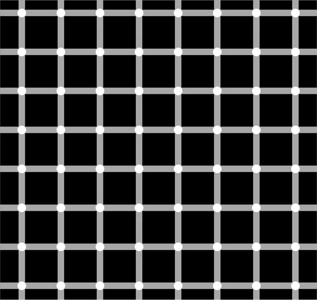 Мережу підкорила оптична ілюзія з 12 точками, які неможливо побачити одночасно - фото 102974
