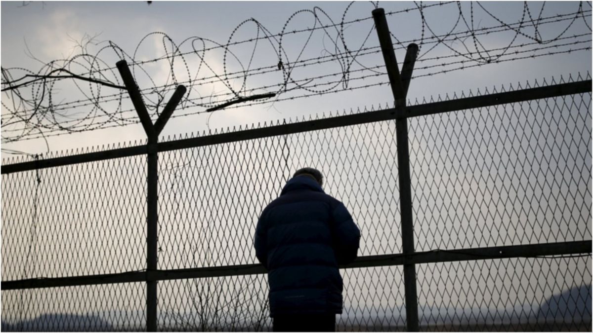 785 звільнених завдяки "закону Савченко" знову піймали на злочинах - фото 1