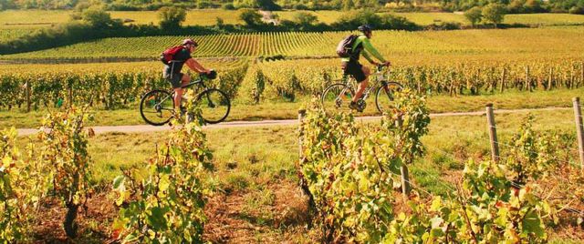Крути педалі світом! Що потрібно знати перед тим, як відправитися у велоподорож? - фото 105033