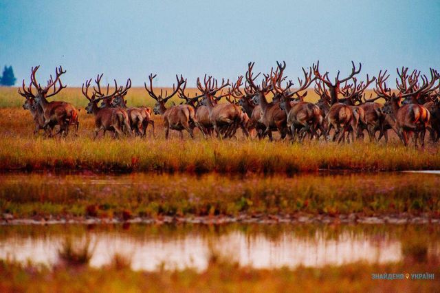 Унікальні та невідомі: ТОП-10 природних див України - фото 103382