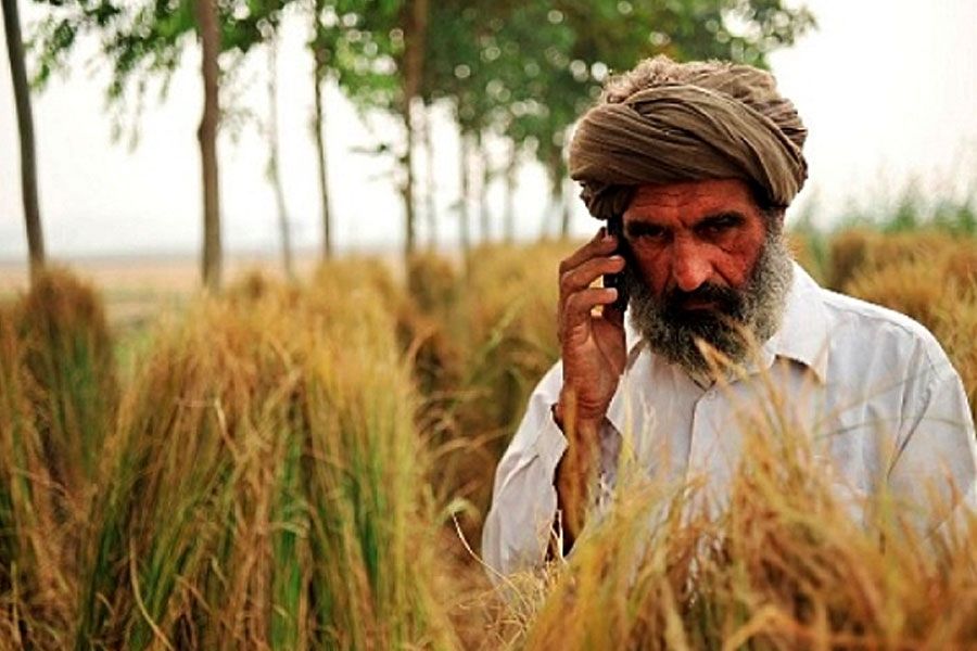 Пакистанські фермери отримають 5 млн смартфонів
