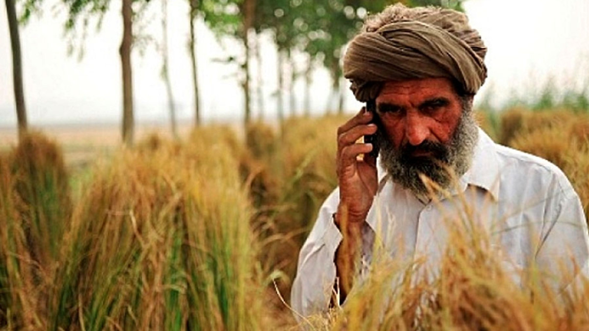 У Пакистані фермерам роздаватимуть смартфони - фото 1