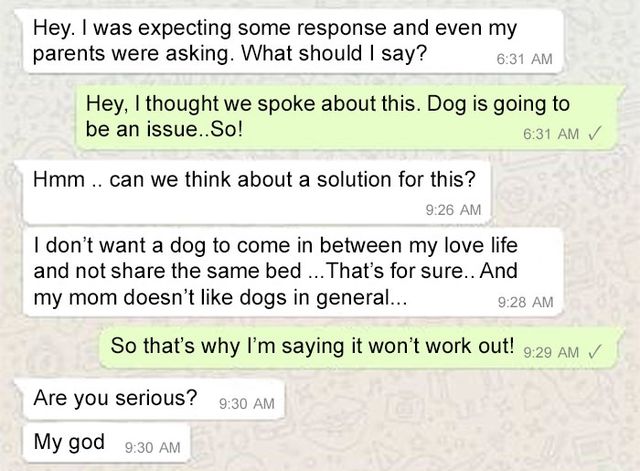 Жінка проміняла нареченого на собаку - фото 105584