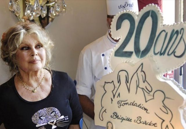 Найчуттєвіші фото секс-символу 50-х Бріджит Бардо - фото 106449