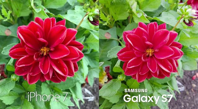 Блогер порівняв якість зйомки iPhone 7 і Samsung Galaxy S7 - фото 103824
