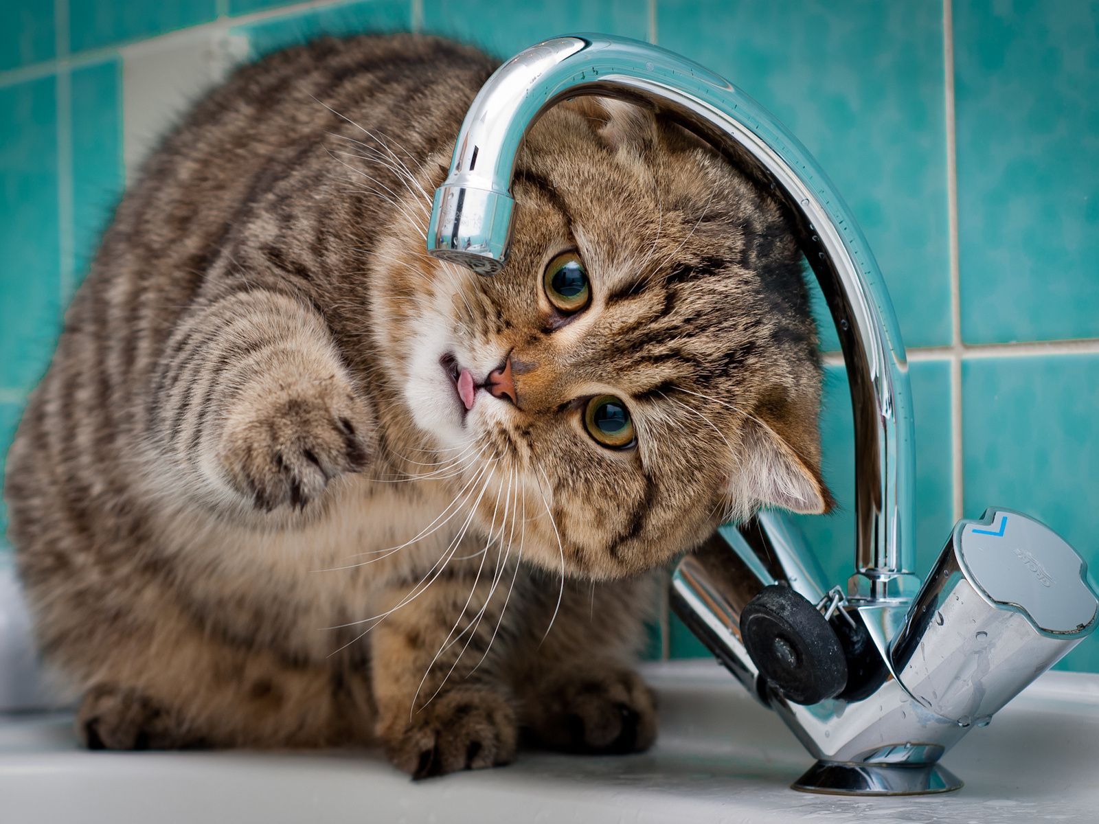 У Керчі катастрофічний дефіцит води