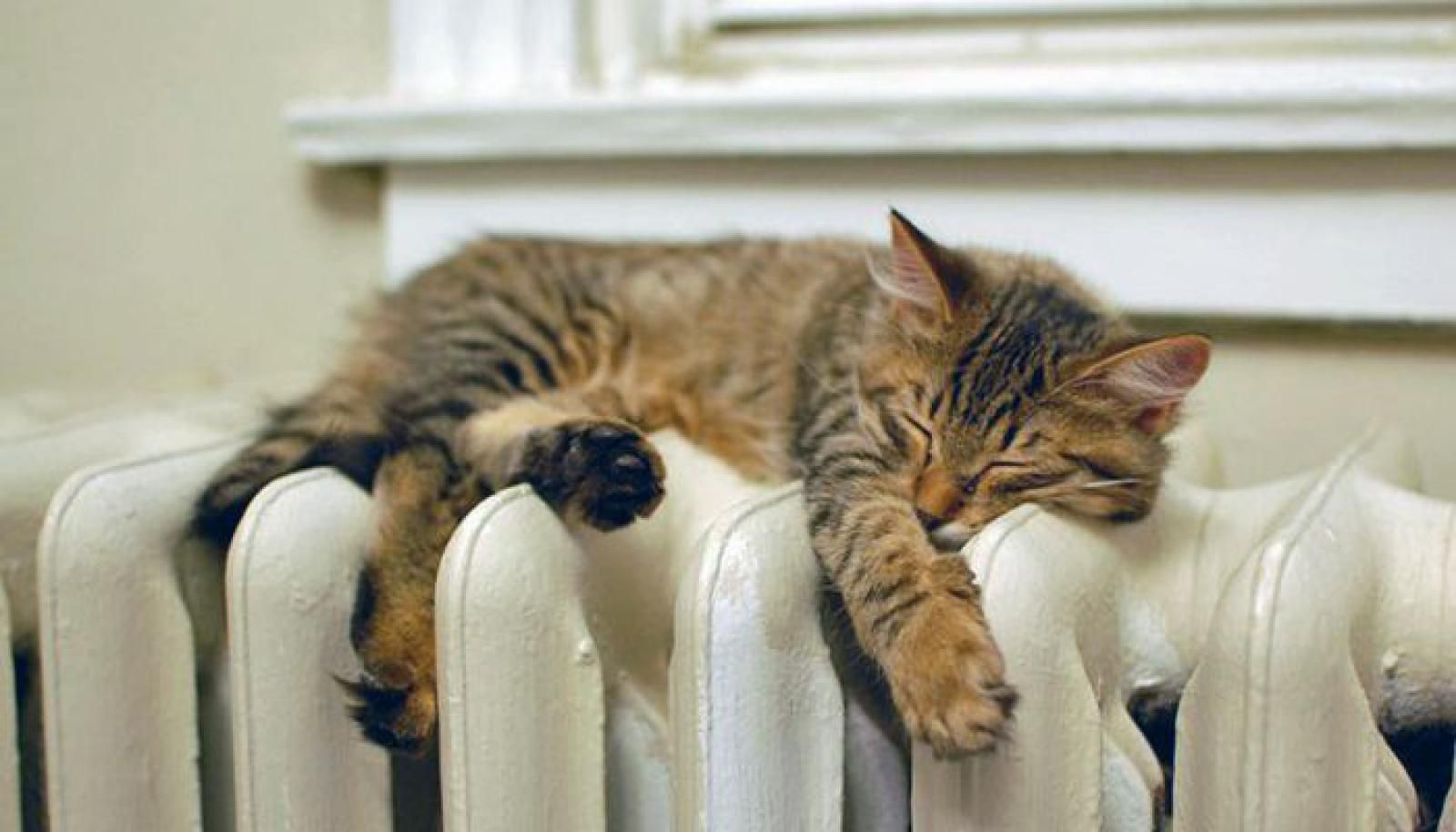 Стало відомо, коли в Києві стартує опалювальний сезон