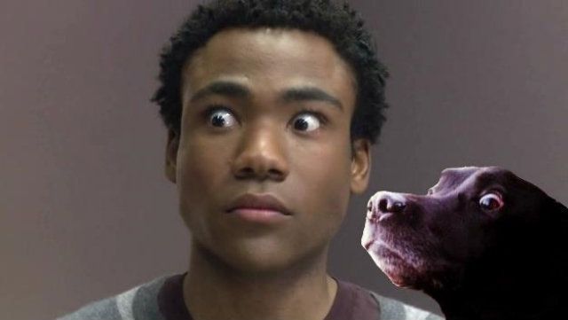 Шокований швидкою їздою пес став хітом мережі 
 - фото 105798