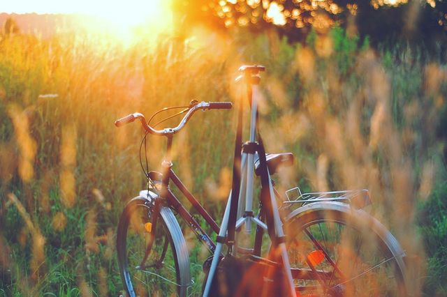 Крути педалі світом! Що потрібно знати перед тим, як відправитися у велоподорож? - фото 105037