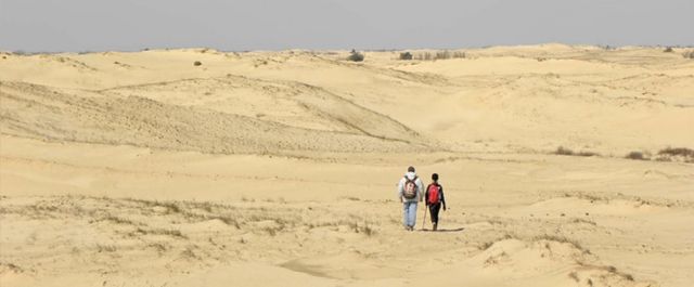 Унікальні та невідомі: ТОП-10 природних див України - фото 103371