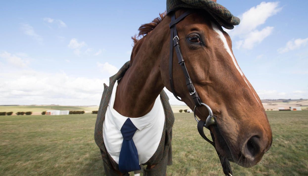 Кінь став причиною фатального ДТП в Китаї