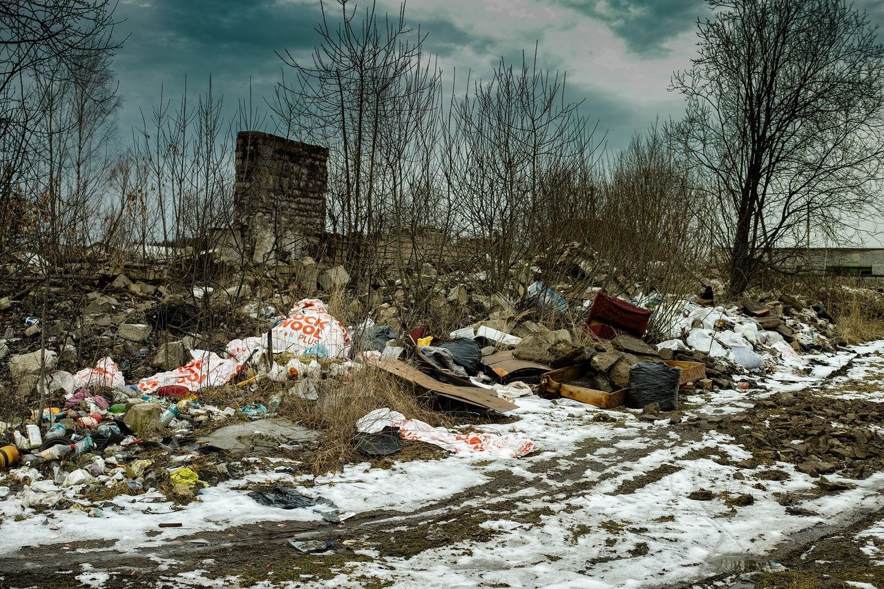 Стихійні сміттєзвалища в Україні - фото 1