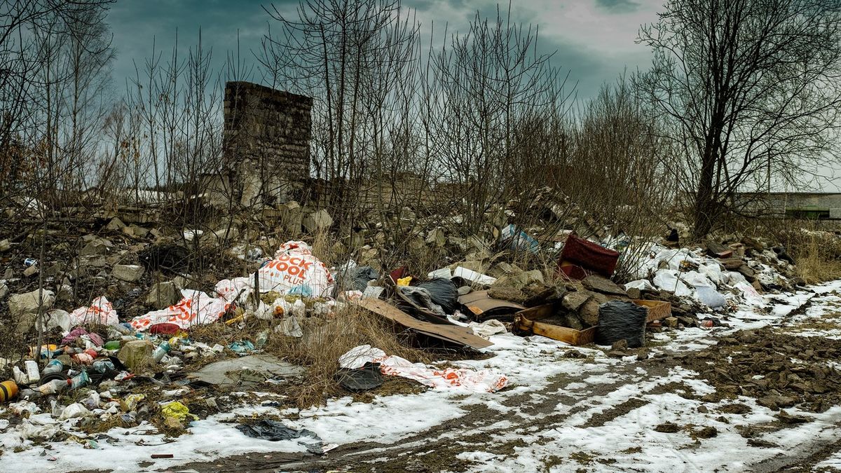 Стихійні сміттєзвалища в Україні - фото 1