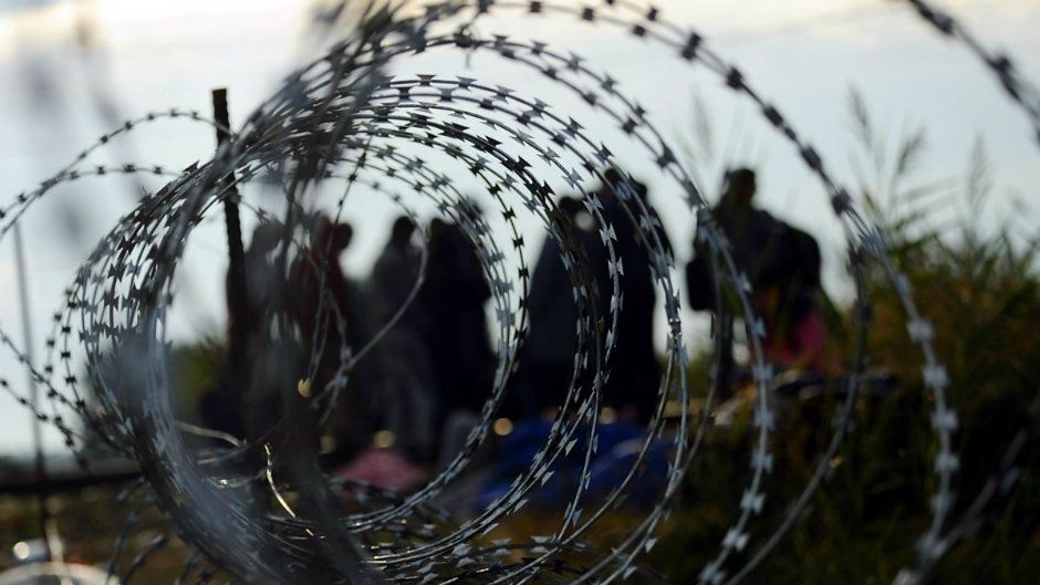 Норвегія почала будувати паркан на кордоні з РФ