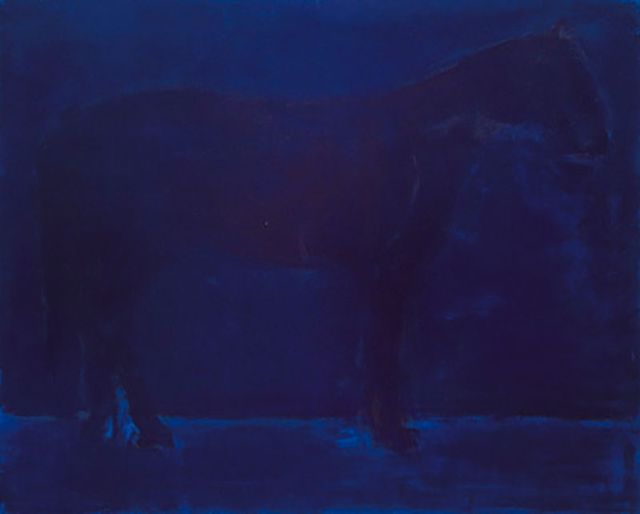 Кінь. Ніч - фото 102563