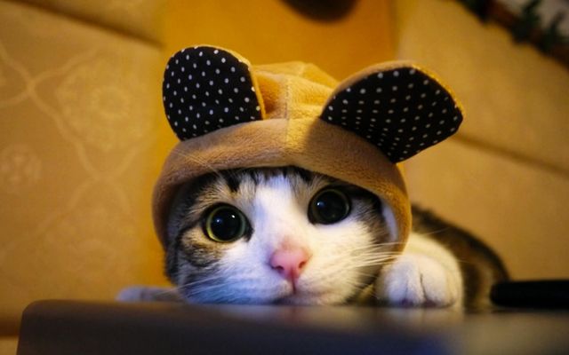 5 способів позбутись стресу на роботі - фото 105290