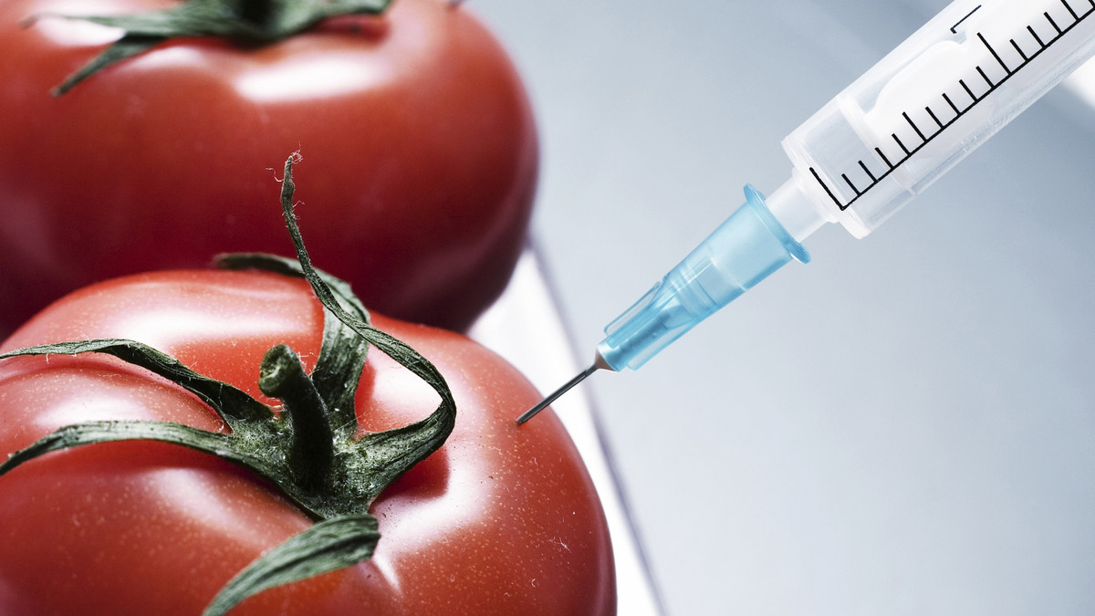 В Україні планують відкрити лабораторії для контролю ГМО продуктів - фото 1