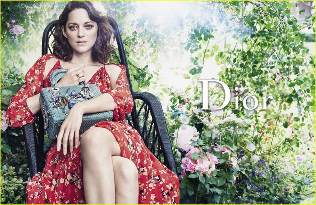 Котіяр - фото 114367