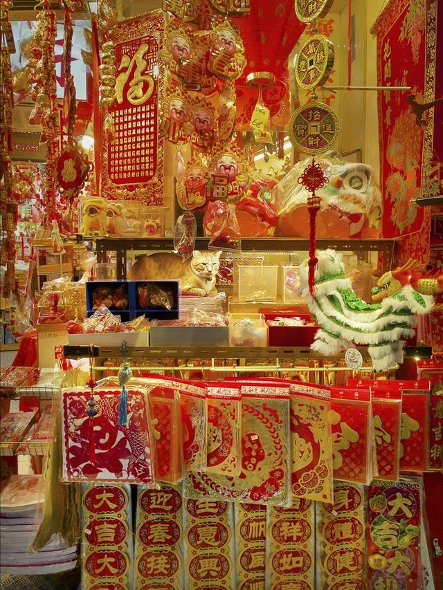 Голландець показав таємне життя котів у крамницях - фото 112665